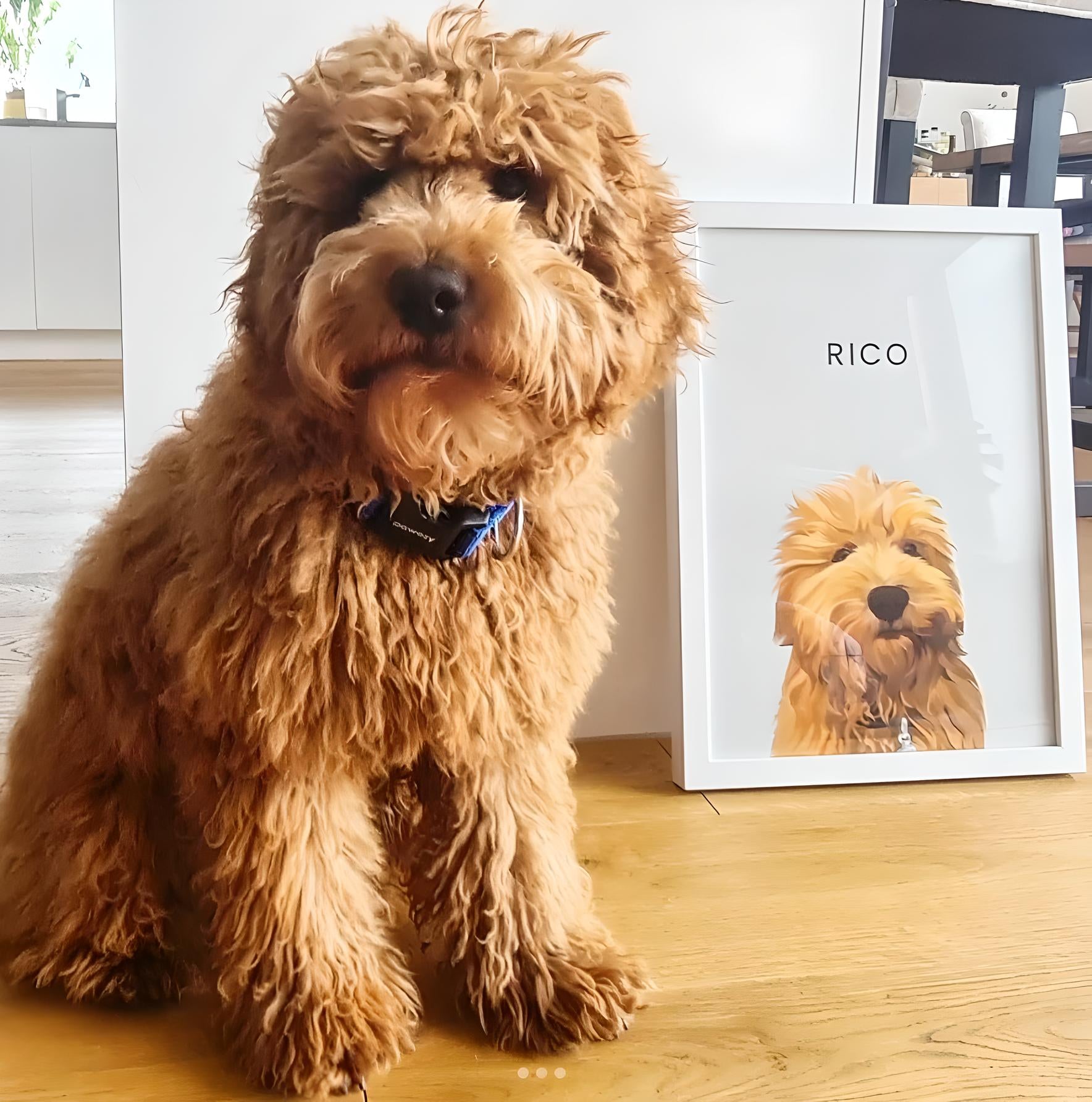 Custom Pet Portrait
